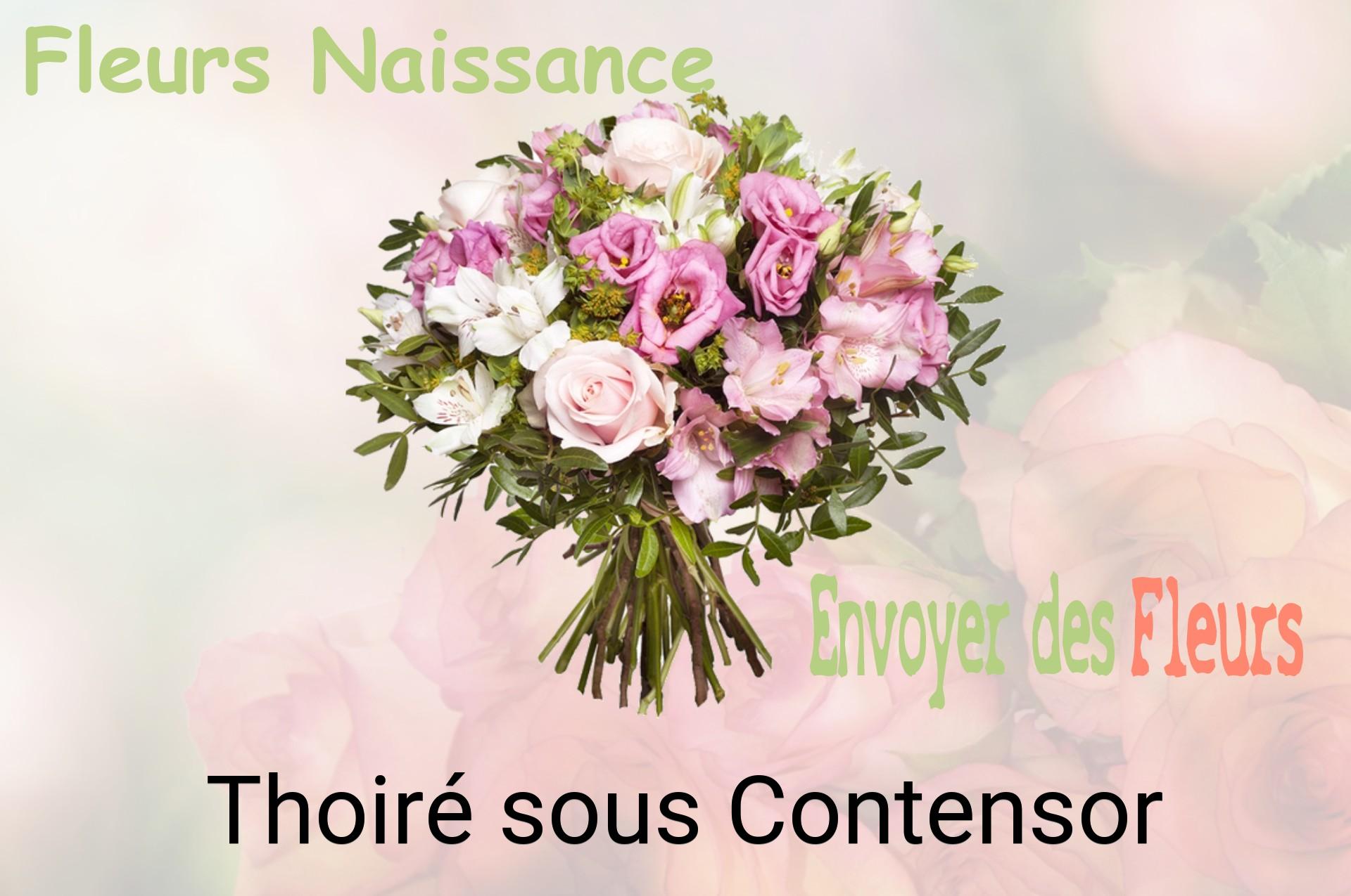 Bouquet de fleurs de naissance livré à Thoiré-sous-Contensor